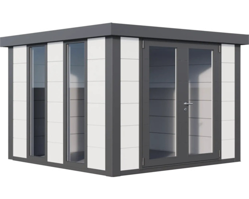 Abri de jardin avec fenêtres et porte double