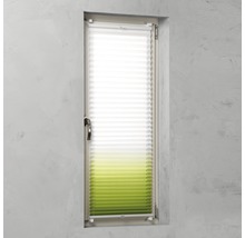 Fenêtre avec store plissé pour la protection visuelle et solaire
