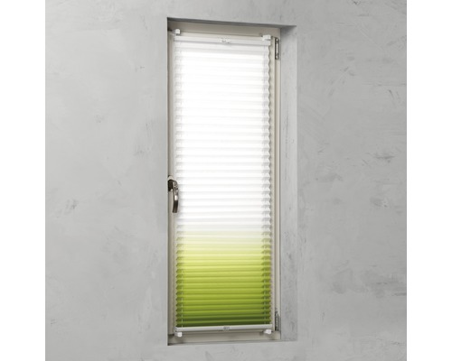 Fenêtre avec store plissé pour la protection visuelle et solaire