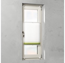 Fenêtre avec store plissé pour réguler la lumière