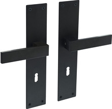Garniture de poignée de porte avec plaque longue pour portes intérieures