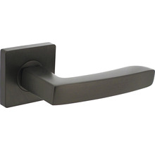 Poignée de porte en métal avec rosace carrée
