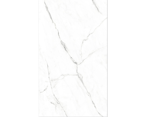 Panneau mural de douche Crédence de cuisine Paroi arrière de lavabo BREUER - marbre haute brillance 255 x 150 cm 9482549000099