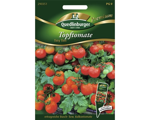 Tomaten Topftomate Tiny Tim Gemüsesamen