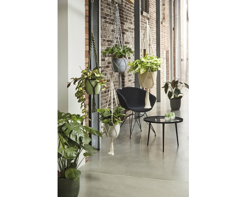 Intérieur clair et convivial avec des plantes suspendues dans des supports en macramé, une chaise et une table.
