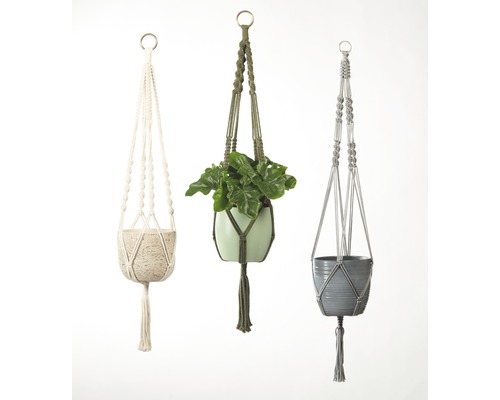 Trois suspensions pour plantes en macramé avec récipients pour plantes
