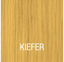 Holzstruktur Kiefer
