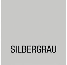 Couleur gris argent