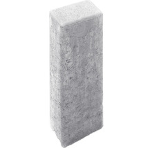 Pavé rectangulaire en béton