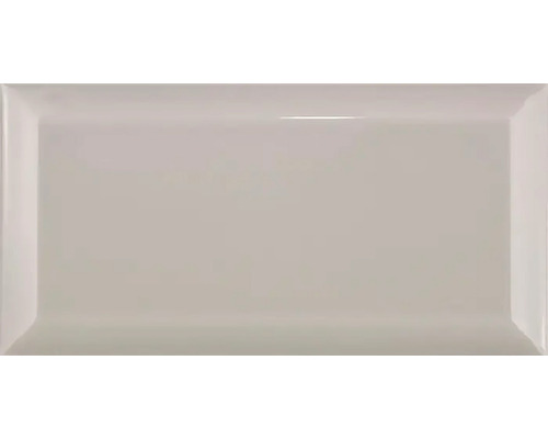 Metro-Fliese mit Facette Mist grey glänzend 10x20 cm