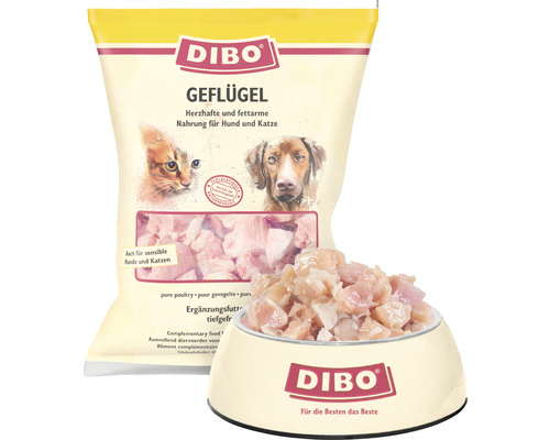 Dibo Geflügel Tiernahrung für Hunde und Katzen im Napf und in der Verpackung