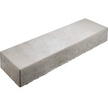 Rechteckiger Pflasterstein aus Beton