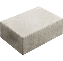 Betonpflasterstein