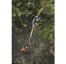 Une personne utilise une scie à élaguer sans fil DeWalt pour couper une branche d''arbre.