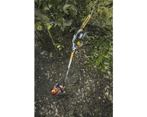 Une personne utilise une scie à élaguer sans fil DeWalt pour couper une branche d''arbre.