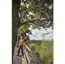 Une personne portant des vêtements de protection utilise un ébrancheur pour couper les branches d''un arbre.