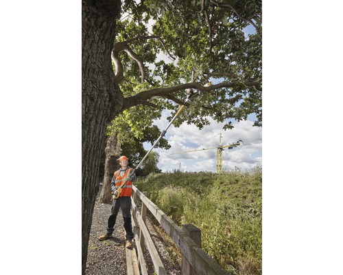 Une personne portant des vêtements de protection utilise un ébrancheur pour couper les branches d''un arbre.