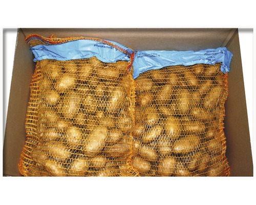 Pommes de terre Karlena farineuses 2,5 kg