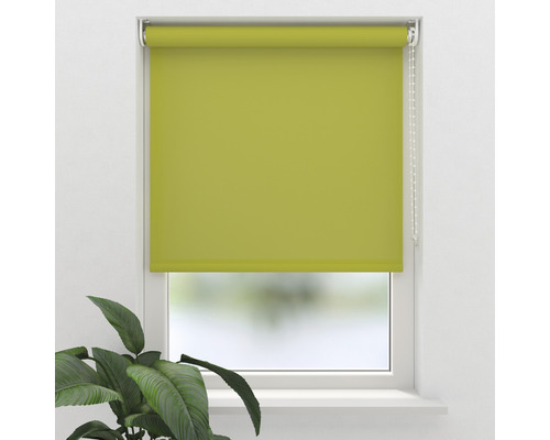 Grüne Fensterrollos im Fenster
