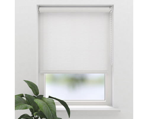 Weisses Rollo am Fenster zur Lichtsteuerung