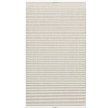 Wohnidee Tageslichtplissee 50x130 cm beige