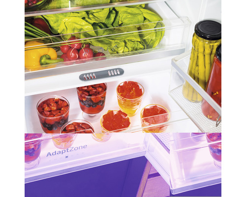 Intérieur d''un réfrigérateur avec des légumes, des fruits et des produits en conserve.