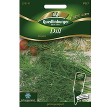 Dill Diana Kräutersamen