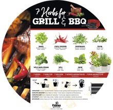 7 herbes pour grillades et barbecue avec basilic, piment, romarin, thym, marjolaine sauvage, aneth et sauge