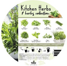 Herbes de cuisine Collection de 7 herbes