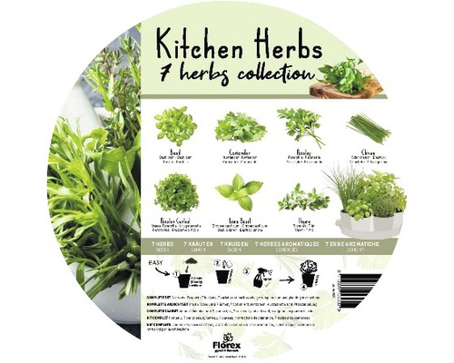 Herbes de cuisine Collection de 7 herbes