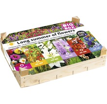 Mélange de bulbes de fleurs dans une caisse en bois avec des informations sur la période de floraison