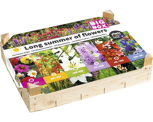 Caisse en bois avec bulbes 'Long Summer of Flowers' avec dahlias, montbretia, lys, plumes du Kansas, sparaxis & iris ensata 120 pces