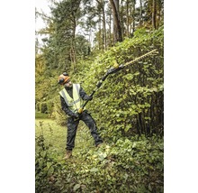 Un homme taille une haie dans le jardin avec un taille-haie télescopique sans fil.