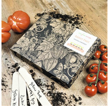 Kit de culture de tomates avec étiquettes de plantes et tomates