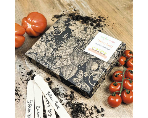 Bio Tomaten Saatgutpaket meine ernte Tomaten Starterset mit 4 Sorten, samenfestes Saatgut