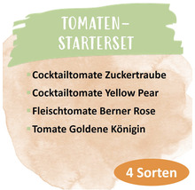 Kit de démarrage pour tomates avec tomate cocktail Zuckertraube, tomate cocktail Yellow Pear, tomate charnue Berner Rose et tomate Goldene Königin
