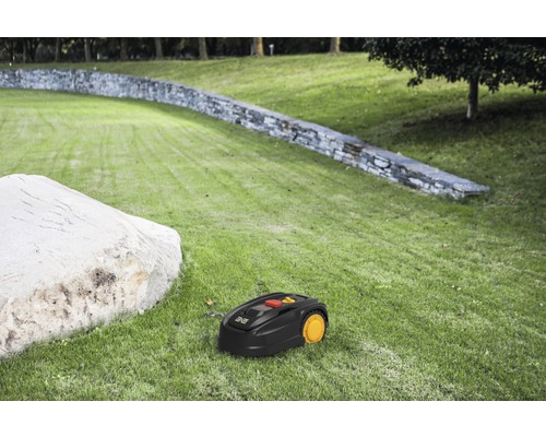 Rasemähroboter auf Rasenfläche im Garten