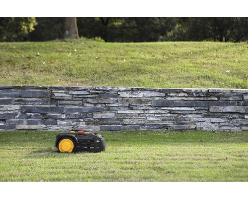 Mähroboter auf Rasen vor einer Steinmauer