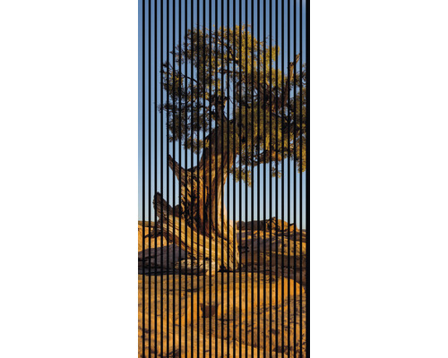 Akustikpaneel digital bedruckt Steppe 1 2400 x 1133 x 19 mm Set = 2 Einzelpaneele Akustikpaneel digital bedruckt Steppe 1 2400 x 1133 x 19 mm Set = 2 Einzelpaneele
