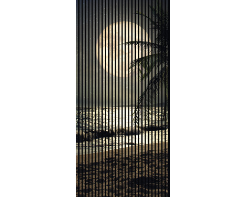 Panneau acoustique impression numérique Lune 2 2400 x 1133 x 19 mm set = 2 panneaux individuels
