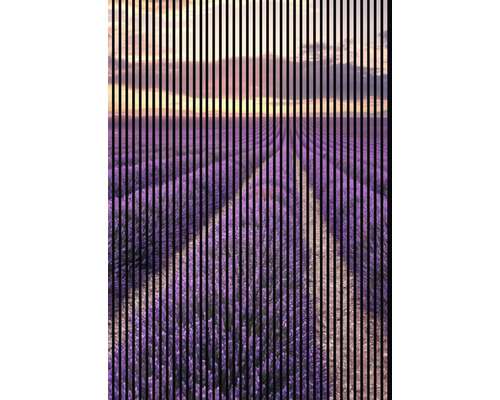 Akustikpaneel digital bedruckt Lavendel 1 2400 x 1693 x 19 mm Set = 3 Einzelpaneele Akustikpaneel digital bedruckt Lavendel 1 2400 x 1693 x 19 mm Set = 3 Einzelpaneele