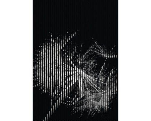 Akustikpaneel digital bedruckt Pusteblume 1 2400 x 1693 x 19 mm Set = 3 Einzelpaneele Akustikpaneel digital bedruckt Pusteblume 1 2400 x 1693 x 19 mm Set = 3 Einzelpaneele