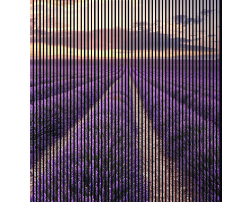 Akustikpaneel digital bedruckt Lavendel 1 2400 x 2253 x 19 mm Set = 4 Einzelpaneele Akustikpaneel digital bedruckt Lavendel 1 2400 x 2253 x 19 mm Set = 4 Einzelpaneele