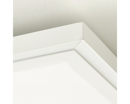 Detailaufnahme einer weißen Zimmerdecke mit Zierleiste