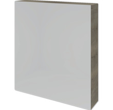 Spiegelschrank Sanox 60 x 12 x 65 cm charleston 1-türig doppelt verspiegelt