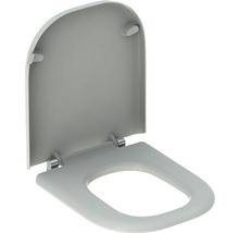 Toilettensitz aus Kunststoff mit Deckel