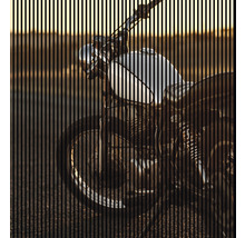 Akustikpaneel digital bedruckt Motorrad 2 2400 x 2253 x 19 mm Set = 4 Einzelpaneele