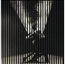 Akustikpaneel digital bedruckt Tango 1 1195 x 1133 x 19 mm Set = 2 Einzelpaneele