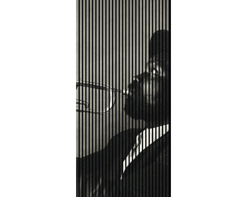 Panneau acoustique impression numérique Jazz 1 2400 x 1133 x 19 mm set = 2 panneaux individuels