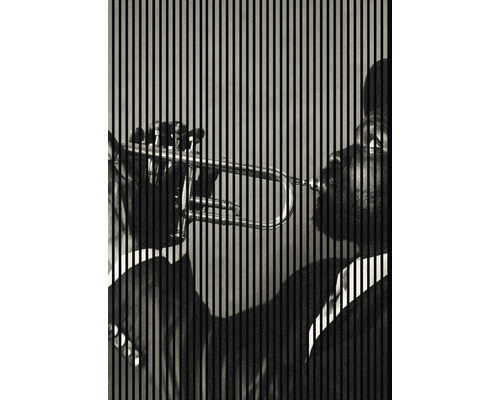 Akustikpaneel digital bedruckt Jazz 1 2400 x 1693 x 19 mm Set = 3 Einzelpaneele Akustikpaneel digital bedruckt Jazz 1 2400 x 1693 x 19 mm Set = 3 Einzelpaneele